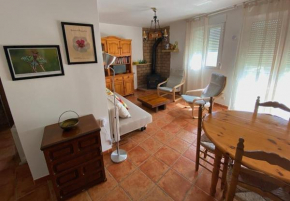 Apartamento rural el Vidre VT-42035-CS, Vistabella Del Maestrazgo